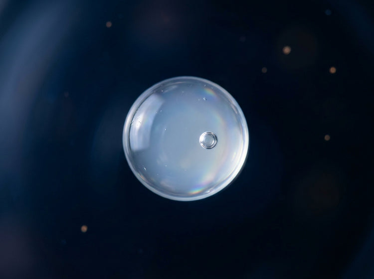 3D Stem-cell Complex