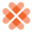 HealthyDerm logo