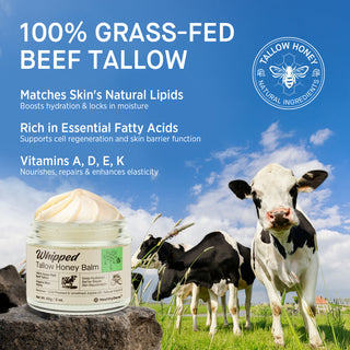 Tallow Balm for Dry Skin featuring 100% grass-fed beef tallow with cows in background, promoting hydration and skin barrier support.